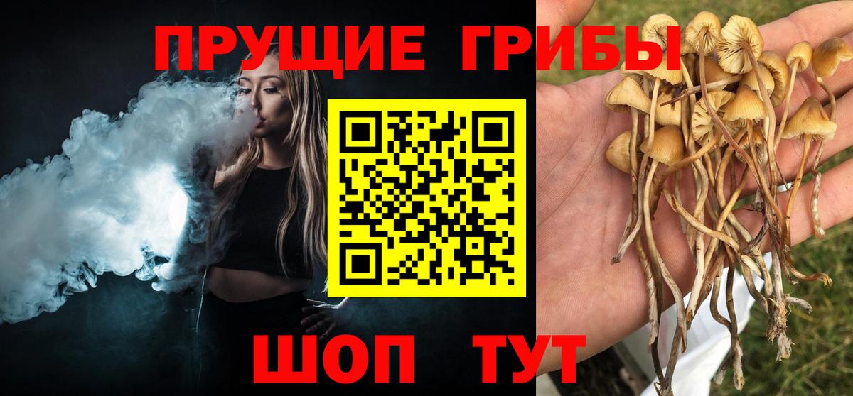 Галлюциногенные грибы ЛСД Балашиха