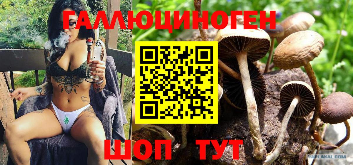 Псилоцибиновые грибы Magic Shrooms  Псилоцибиновые грибы Psilocybine cubensis  Балашиха  Вход с VPN 